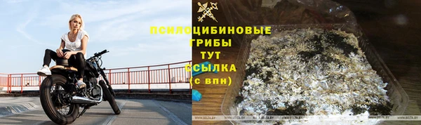 мет Корсаков